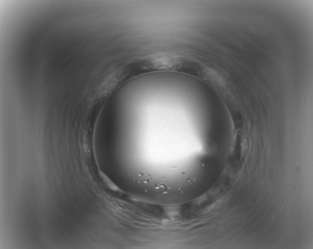 X0000066540317200603241418