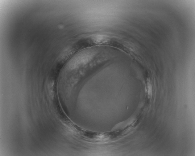 X0000066540319200603241418