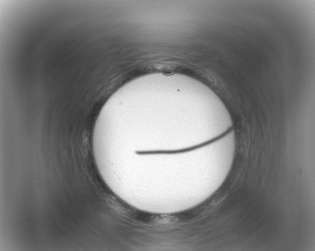 X0000066540321200603241418