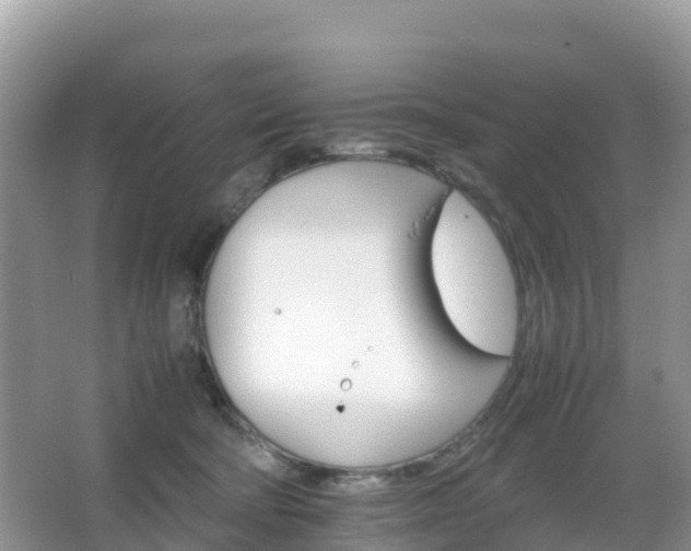 X0000066540322200603241418