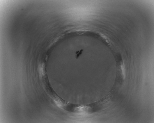 X0000066540323200603241418