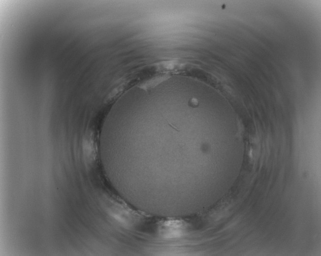 X0000066540324200603241418