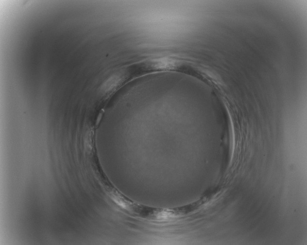 X0000066540325200603241418