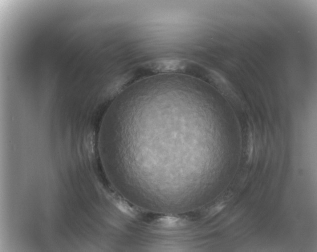 X0000066540326200603241418