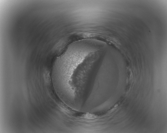 X0000066540327200603241418