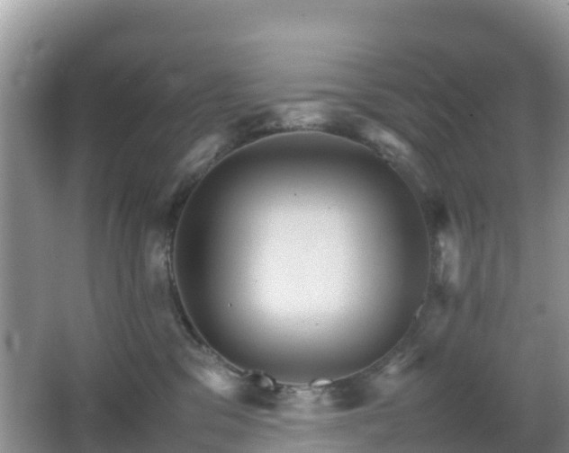 X0000066540329200603241418