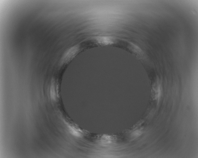 X0000066540330200603241418