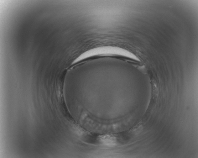 X0000066540331200603241418