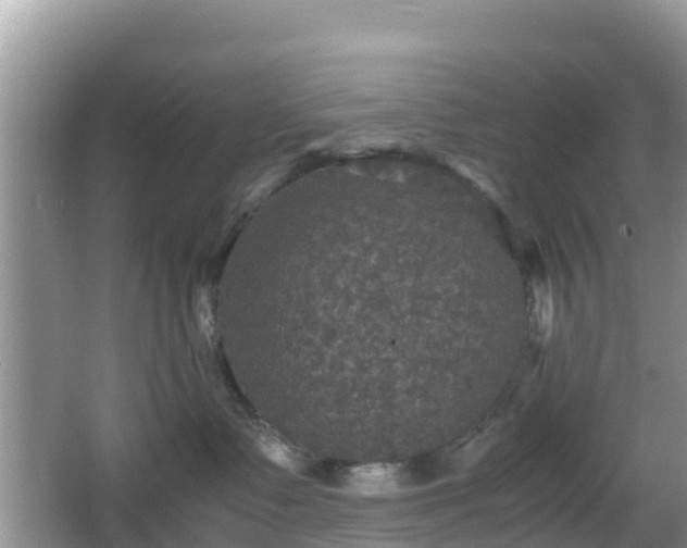 X0000066540335200603241418