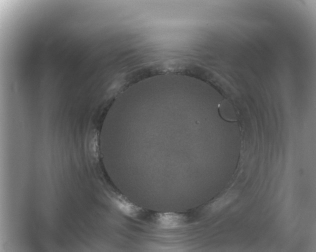 X0000066540336200603241418