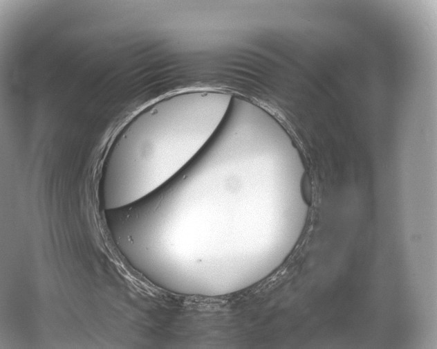 X0000066540337200603241417