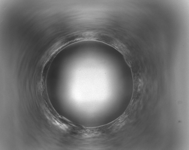 X0000066540338200603241417