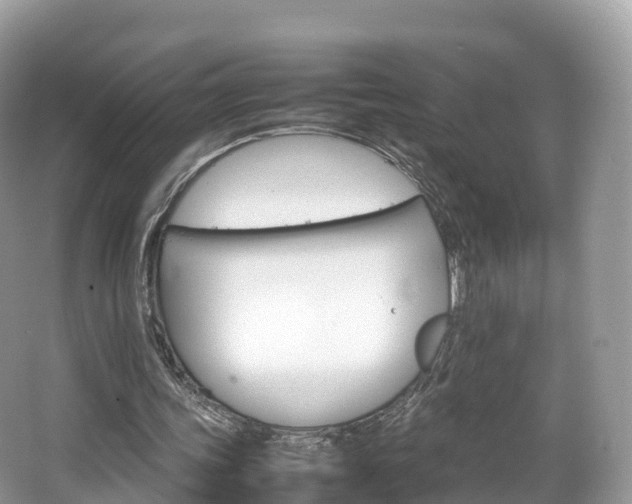 X0000066540339200603241417