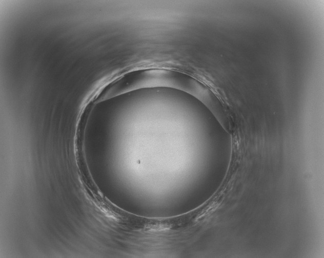 X0000066540340200603241417