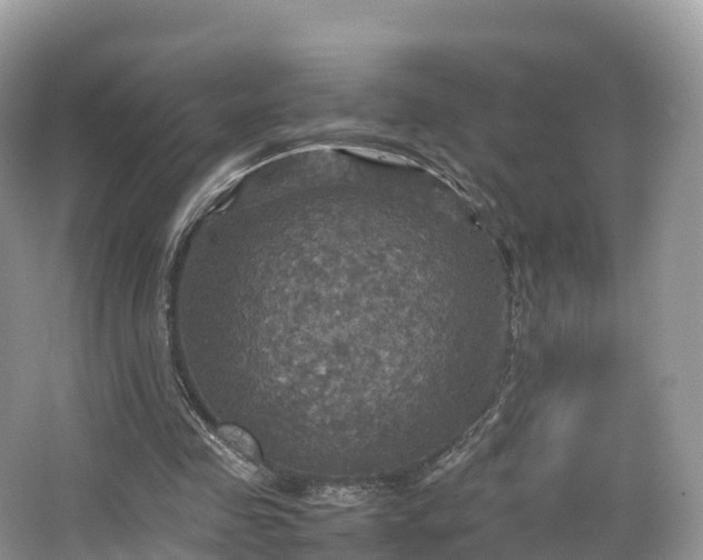 X0000066540341200603241417