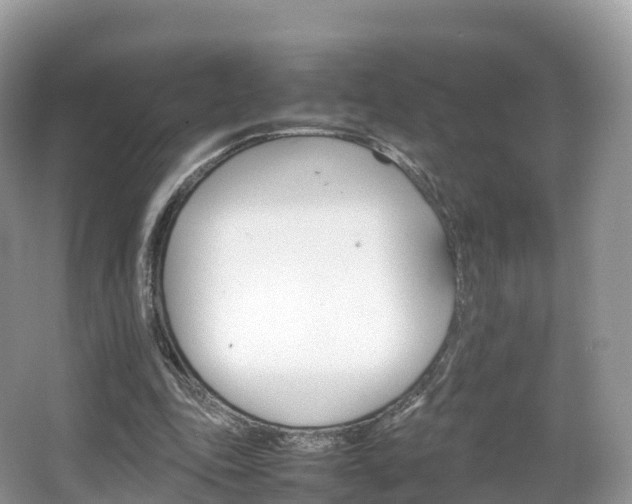 X0000066540343200603241417