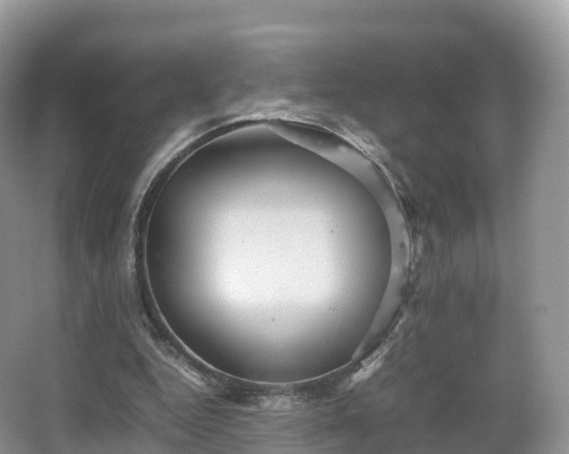 X0000066540344200603241417