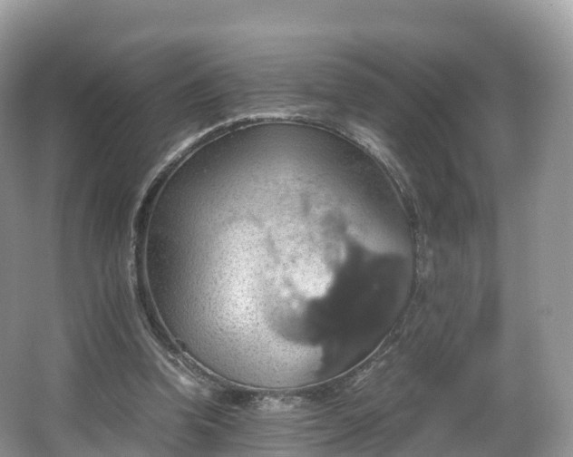 X0000066540346200603241417