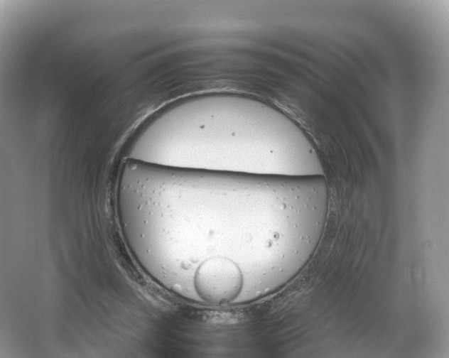 X0000066540347200603241417