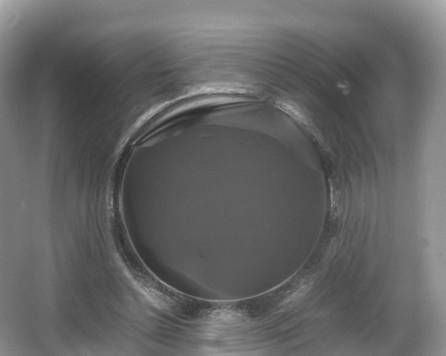 X0000066540348200603241417