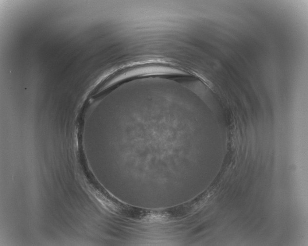 X0000066540350200603241417