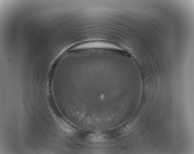 X0000066540351200603241417