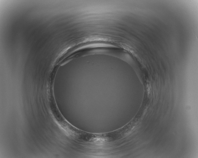 X0000066540352200603241417