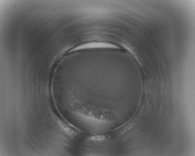 X0000066540353200603241417