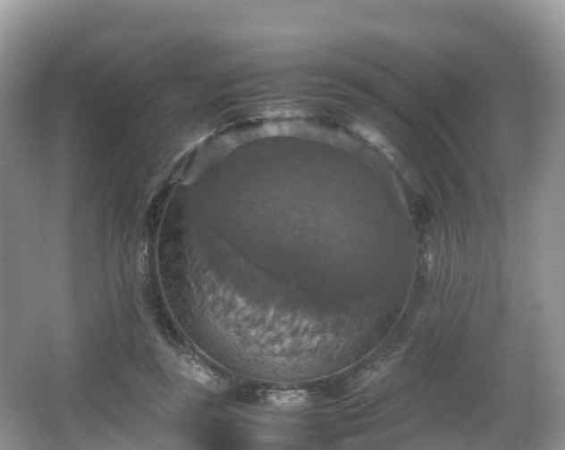 X0000066540355200603241417