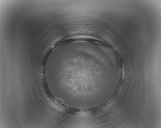 X0000066540356200603241417