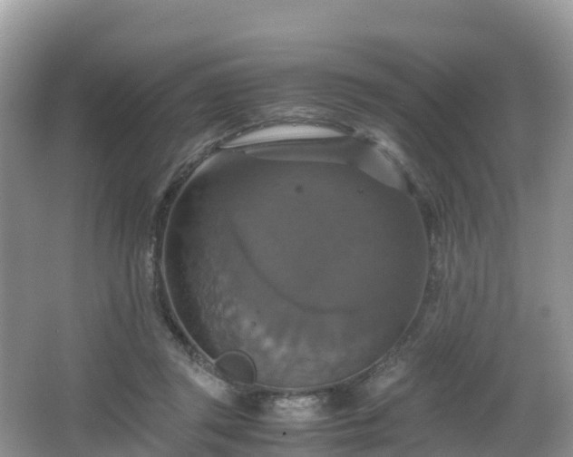 X0000066540357200603241417