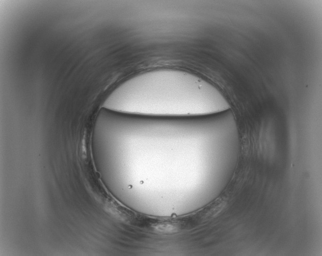 X0000066540358200603241417