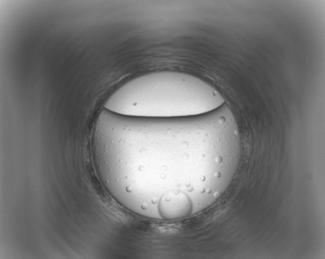 X0000066540359200603241417