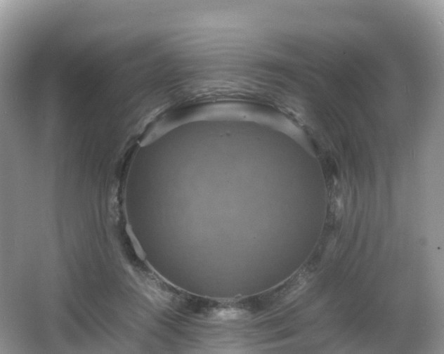 X0000066540360200603241417