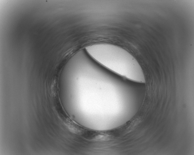 X0000066540364200603241417