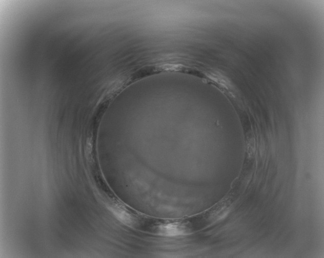 X0000066540365200603241417