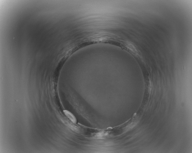 X0000066540366200603241417