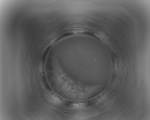 X0000066540367200603241417