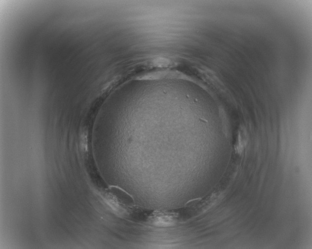 X0000066540368200603241417