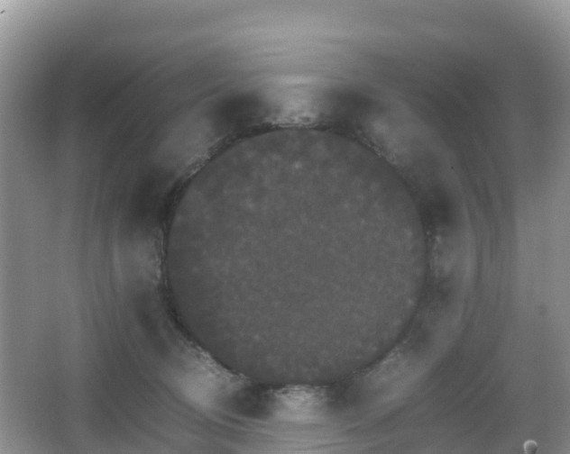 X0000066540370200603241417