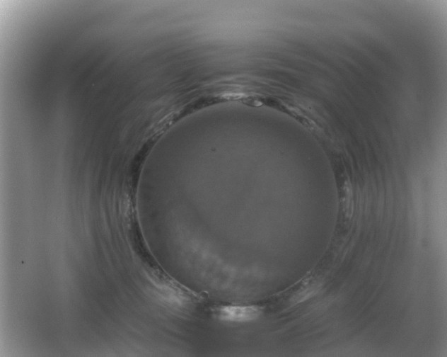 X0000066540371200603241417