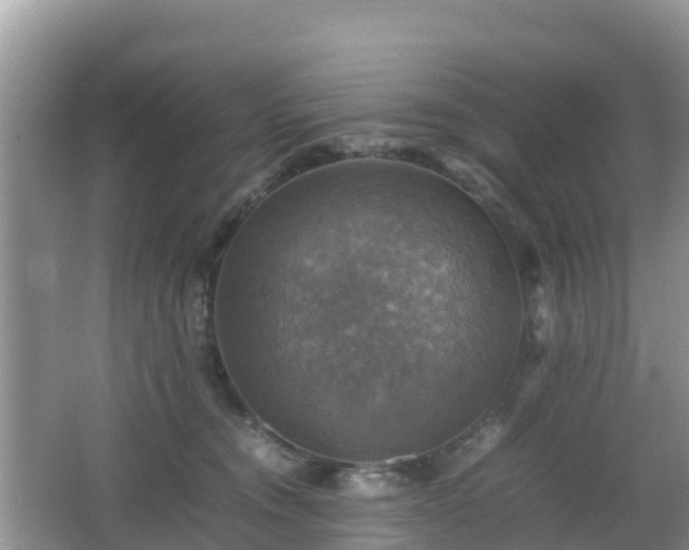 X0000066540372200603241417