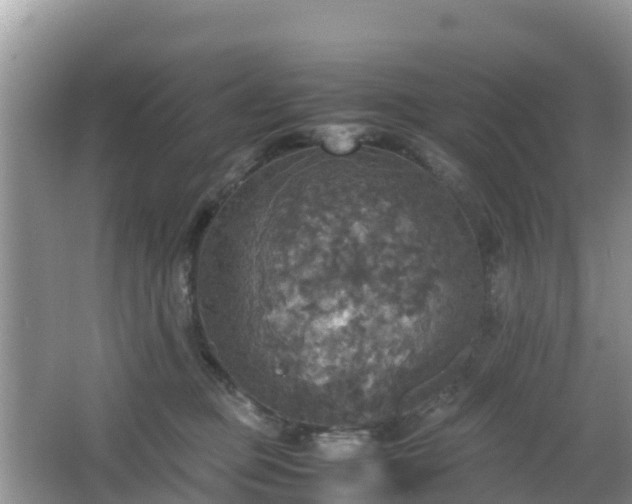 X0000066540373200603241417