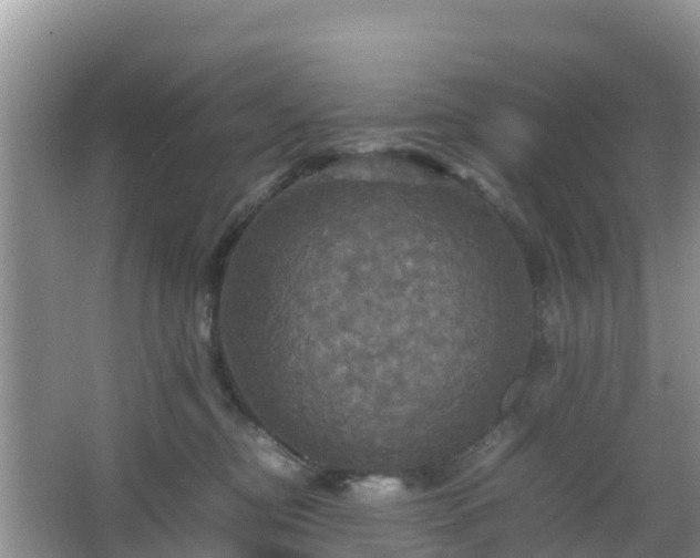 X0000066540374200603241417