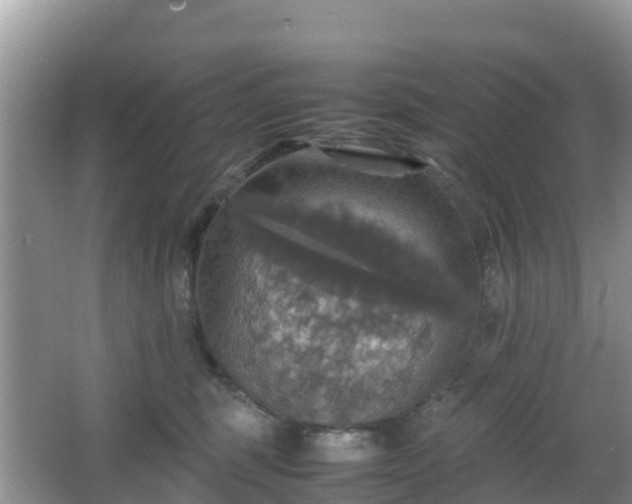 X0000066540375200603241417