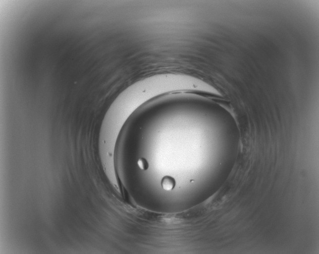 X0000066540376200603241417