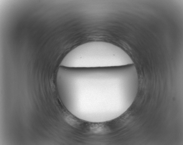 X0000066540377200603241417