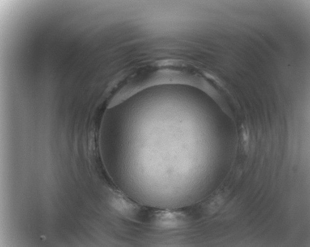 X0000066540379200603241417