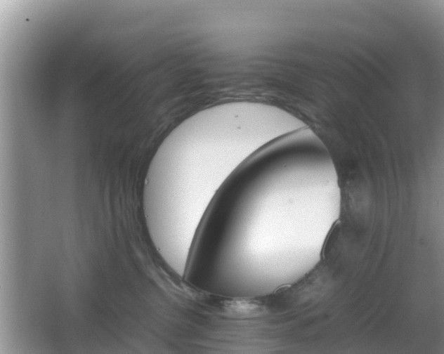 X0000066540380200603241417