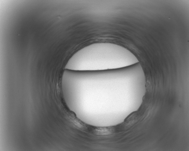 X0000066540381200603241417